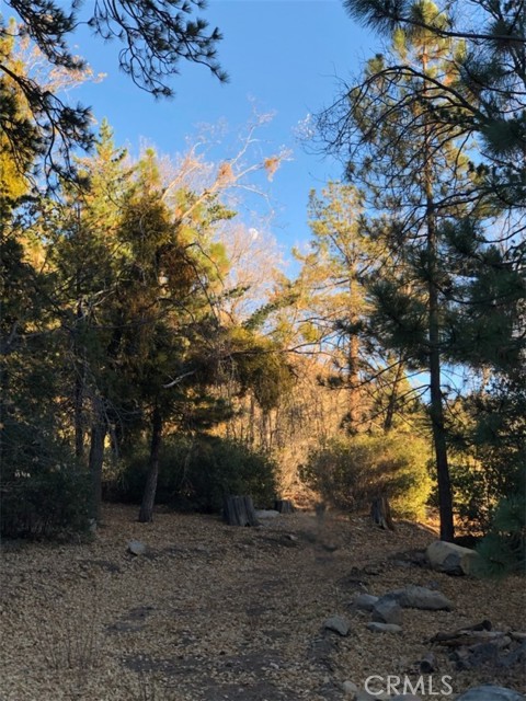 0 Ca-38, Angelus Oaks CA: https://media.crmls.org/medias/a4cfc09b-6907-4f09-a1c5-3015b8cb73de.jpg