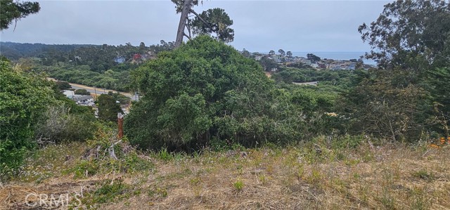 0 Croyden Lane, Cambria CA: https://media.crmls.org/medias/a4d4a72c-246e-47e1-a2b4-66433b3af7ca.jpg