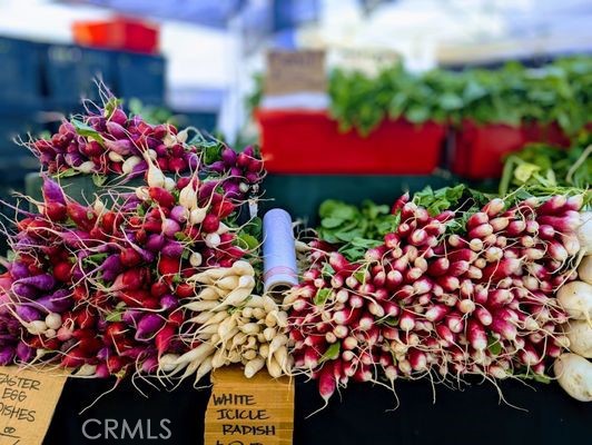 https://media.crmls.org/medias/a4d9972c-4151-47dc-ac33-c1239d4832bc.jpg?preset=X-Large