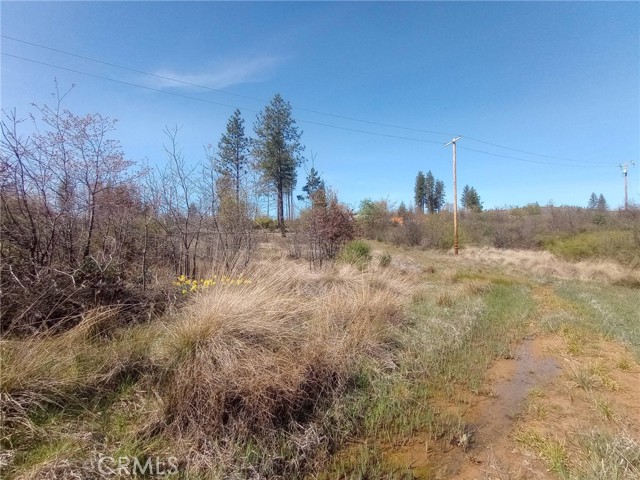 Detail Gallery Image 9 of 27 For 3515 Hoffman, Oroville,  CA 95965 - – Beds | – Baths