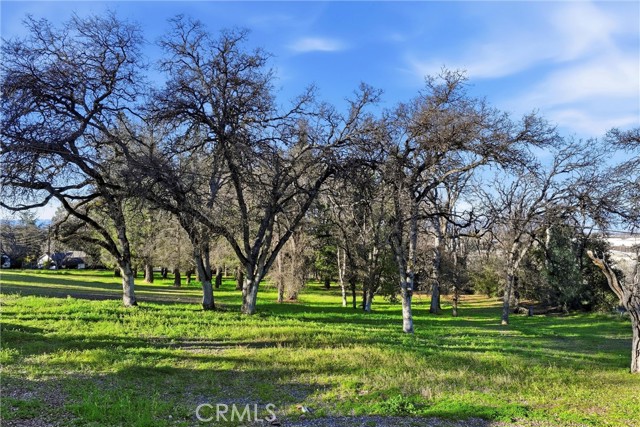 Detail Gallery Image 2 of 13 For 5300 Mckee, Kelseyville,  CA 95451 - – Beds | – Baths