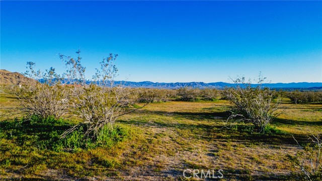 Detail Gallery Image 17 of 23 For 0 Los Padres Rd, Apple Valley,  CA 92307 - – Beds | – Baths