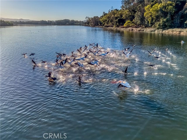 Detail Gallery Image 65 of 72 For 5740 Sunrise, Lower Lake,  CA 95457 - 3 Beds | 2 Baths