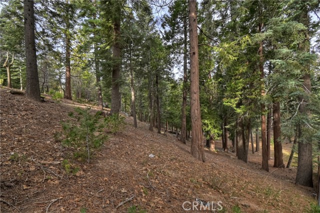 Detail Gallery Image 42 of 53 For 696 Rose, Twin Peaks,  CA 92391 - 4 Beds | 2 Baths