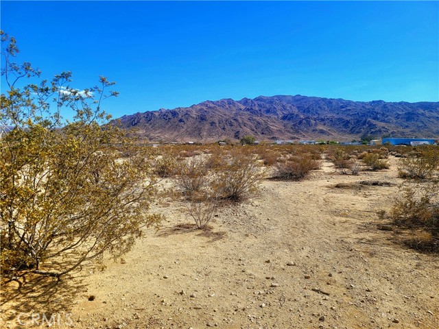 Detail Gallery Image 5 of 6 For 0 Old Dale Rd, Twentynine Palms,  CA 92277 - – Beds | – Baths