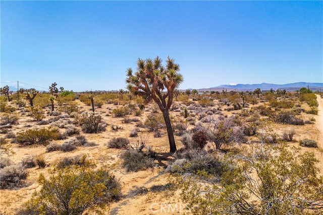 Detail Gallery Image 65 of 75 For 2750 Olympic Rd, Joshua Tree,  CA 92252 - 5 Beds | 4 Baths