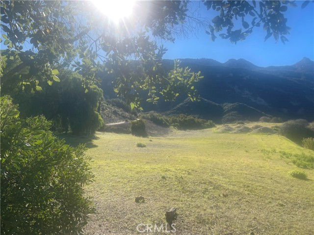 Detail Gallery Image 7 of 16 For 25066 Mulholland Hwy, Calabasas,  CA 91302 - – Beds | – Baths