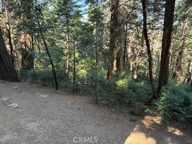 Detail Gallery Image 37 of 39 For 23992 Lakeview Dr., Crestline,  CA 92325 - 3 Beds | 2 Baths