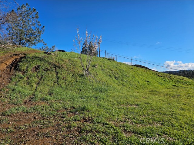 Detail Gallery Image 12 of 15 For 10167 Bell, Lower Lake,  CA 95457 - – Beds | – Baths