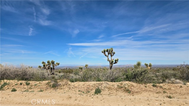 Detail Gallery Image 19 of 50 For 0 Fort Tejon Rd Vicinity 181st St E, Llano,  CA 93544 - – Beds | – Baths