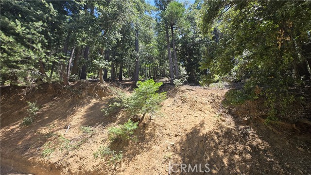 0 Mojave River Road, Cedarpines Park CA: https://media.crmls.org/medias/a5166495-1743-4d4a-9925-c9add7649812.jpg