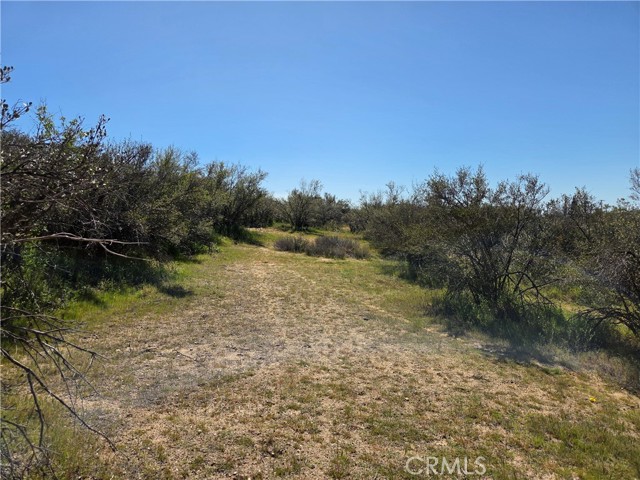 Detail Gallery Image 9 of 14 For 0 Pony Trail, Anza,  CA 92539 - – Beds | – Baths