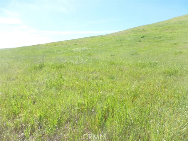 Detail Gallery Image 43 of 51 For 0 Douglas Rd. (Lot 33), San Miguel,  CA 93451 - – Beds | – Baths