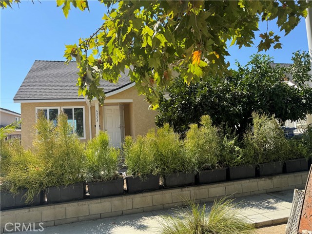 6233 Rosemead