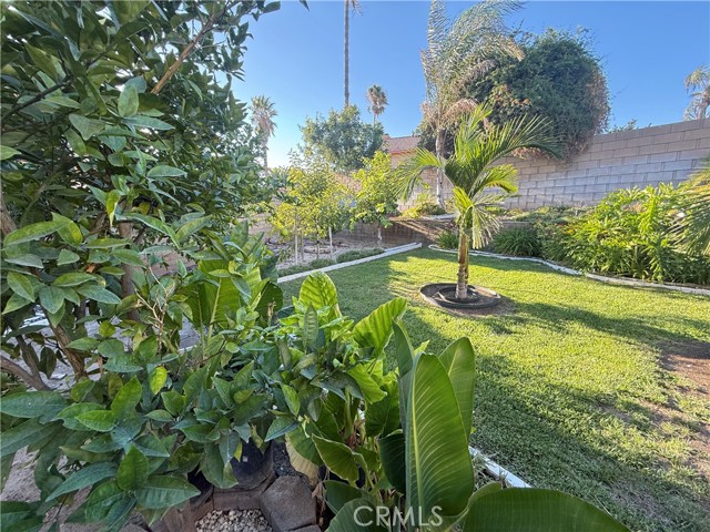 1770 W Candlewood Avenue, Rialto CA: https://media.crmls.org/medias/a5228d29-6422-4ce5-ad94-22b5aec25f88.jpg