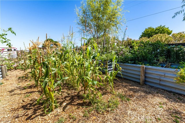4225 Farousse Way, Paso Robles CA: https://media.crmls.org/medias/a525efcd-7f6b-464e-b8d3-5ef08598d921.jpg