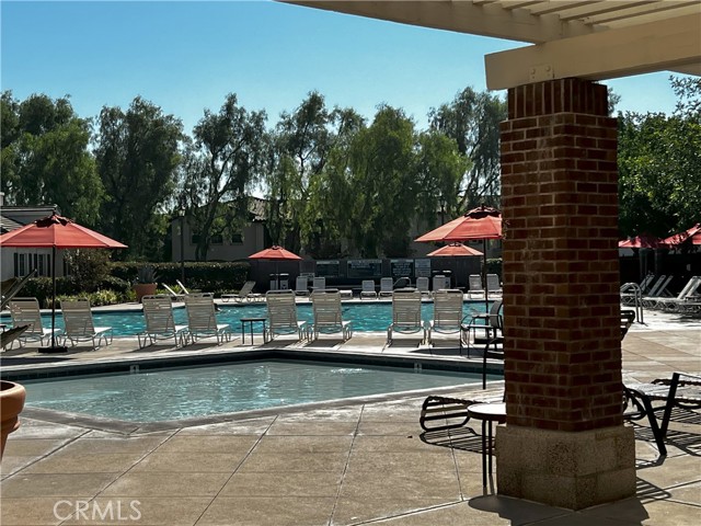 Club Swimming Pool