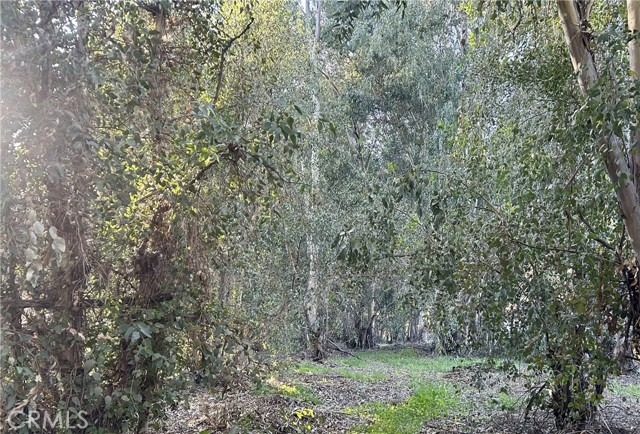 Detail Gallery Image 38 of 40 For 28639 Rostrata, Lake Elsinore,  CA 92532 - 5 Beds | 2 Baths