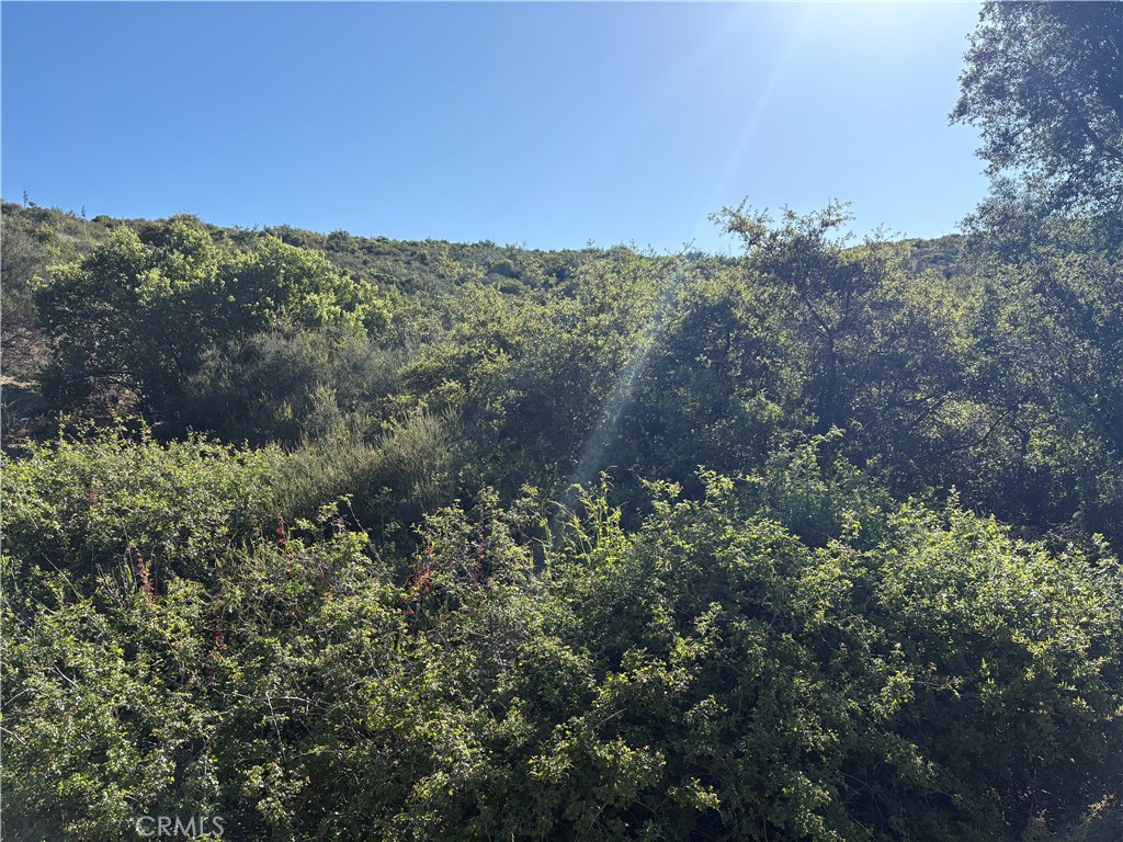 MLS #SW25110188 image #1