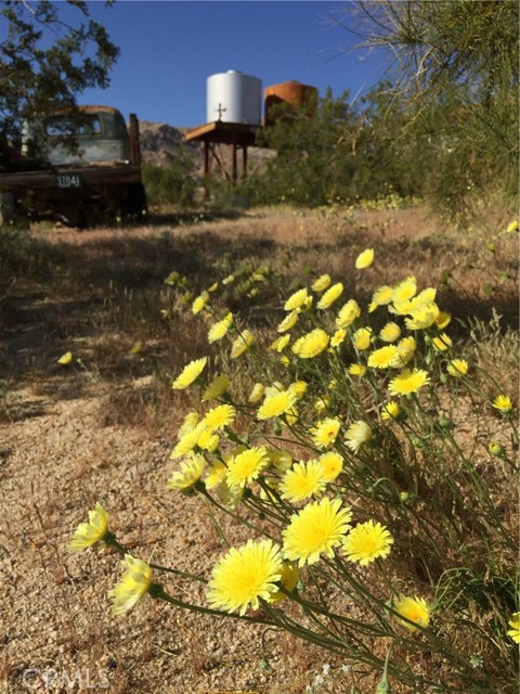 Detail Gallery Image 24 of 30 For 68033 Sullivan, Twentynine Palms,  CA 92277 - 0 Beds | 1 Baths