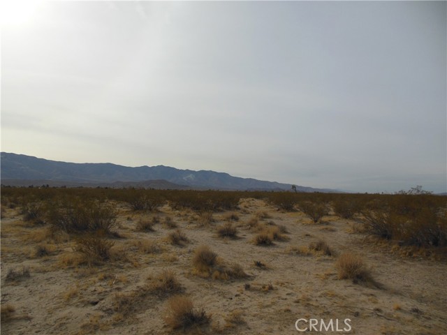 0 Joshua Avenue, Lucerne Valley CA: https://media.crmls.org/medias/a5560a48-a881-41a2-bfa3-58b0973a684e.jpg