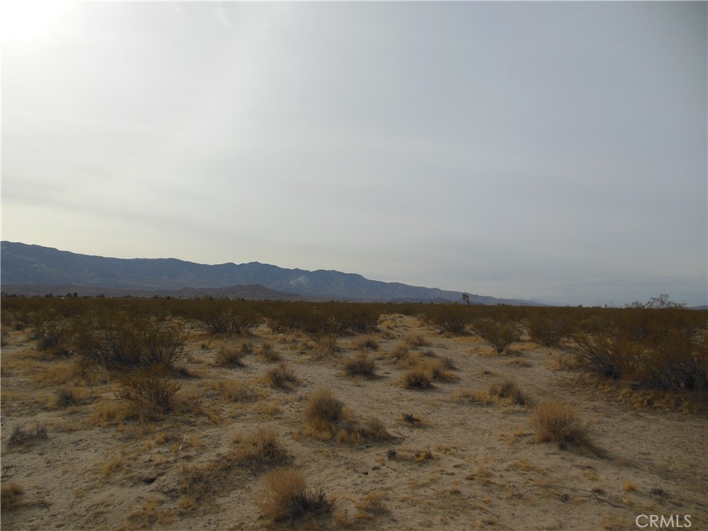 MLS #OC25175074 image #3