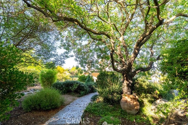 2035 Calle Pattito, Templeton CA: https://media.crmls.org/medias/a5599b78-eac4-4eb0-b228-fc6ab006feab.jpg