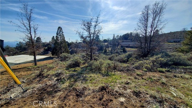 25041 Jacaranda Drive, Tehachapi, California 93561, ,Land,For Sale,25041 Jacaranda Drive,CRSR23210317