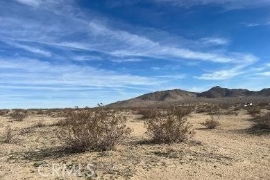 MLS #SR25260352 image #2