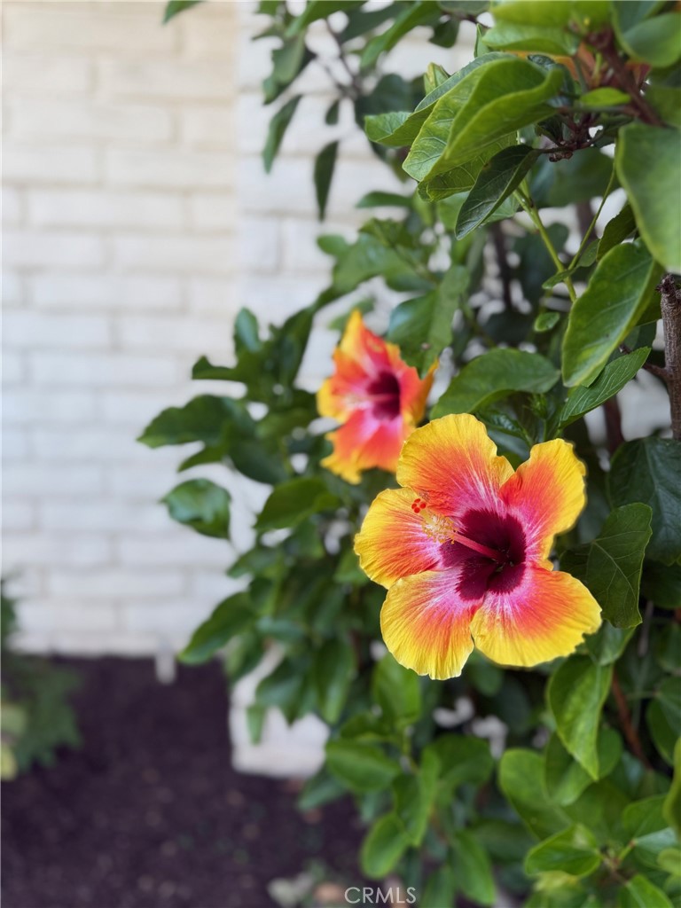 https://media.crmls.org/medias/a560383e-ac91-4b0c-9dfd-38e261e80d49.jpg?preset=X-Large