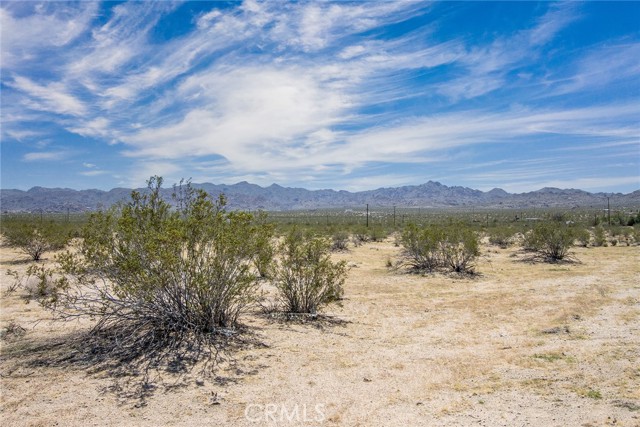 64532 Chollita Road, Joshua Tree, California 92252, ,Land,For Sale,64532 Chollita Road,CRJT23175359