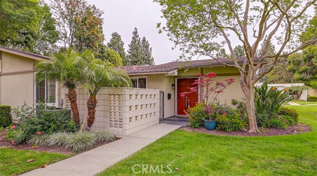 241 Calle Aragon, Laguna Woods CA: https://media.crmls.org/medias/a569c2f2-0dbd-4b1b-8283-acf477eee771.jpg