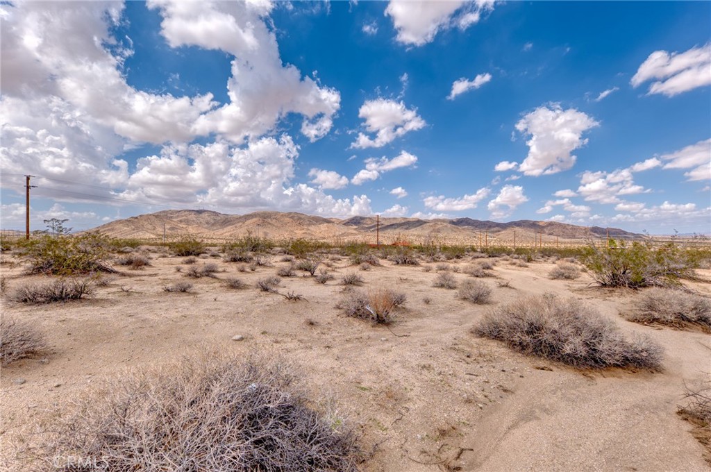 MLS #JT25253211 image #3