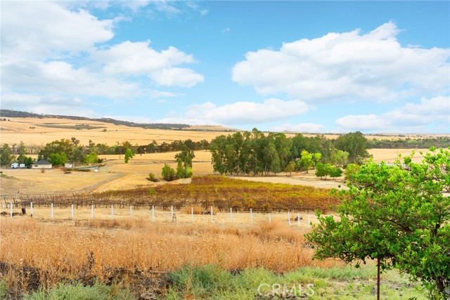 Detail Gallery Image 66 of 70 For 4386 Woodrose Dr, Butte Valley,  CA 95965 - 3 Beds | 2/1 Baths