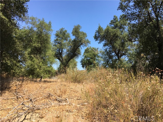 Detail Gallery Image 13 of 26 For 35010 Willow Creek Rd., Hemet,  CA 92544 - – Beds | – Baths