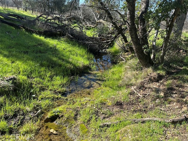 Detail Gallery Image 18 of 32 For 471 Ac - Hwy 49n, Mariposa,  CA 95338 - – Beds | – Baths