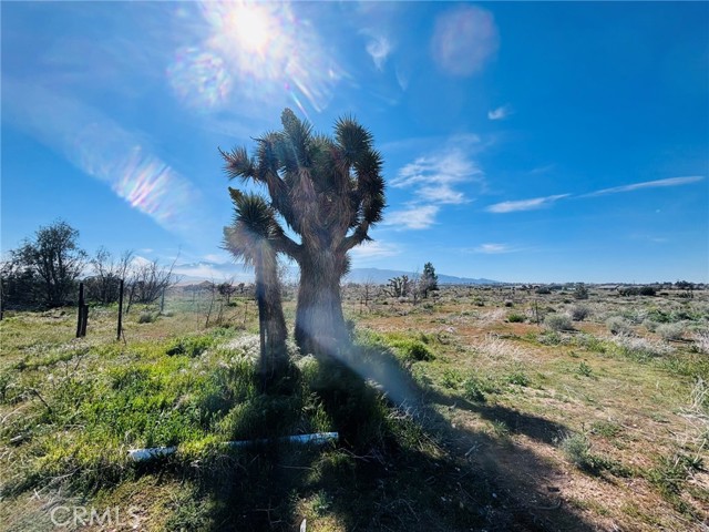 Detail Gallery Image 31 of 32 For 10024 Anderson Ranch, Phelan,  CA 92371 - 3 Beds | 2 Baths