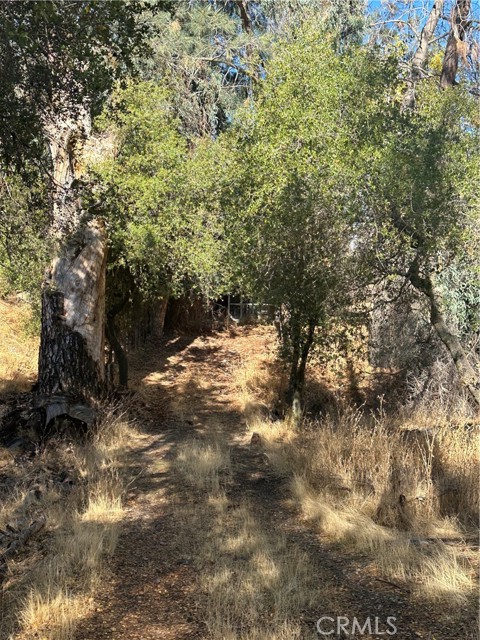 Detail Gallery Image 50 of 59 For 28923 Highway 41, Coarsegold,  CA 93614 - 3 Beds | 3 Baths