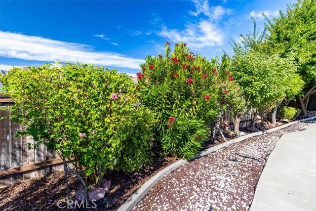 6195 Via Huerto Ct, Atascadero CA: https://media.crmls.org/medias/a57b06c5-59d4-4619-b8f4-1c74ecfb61dc.jpg