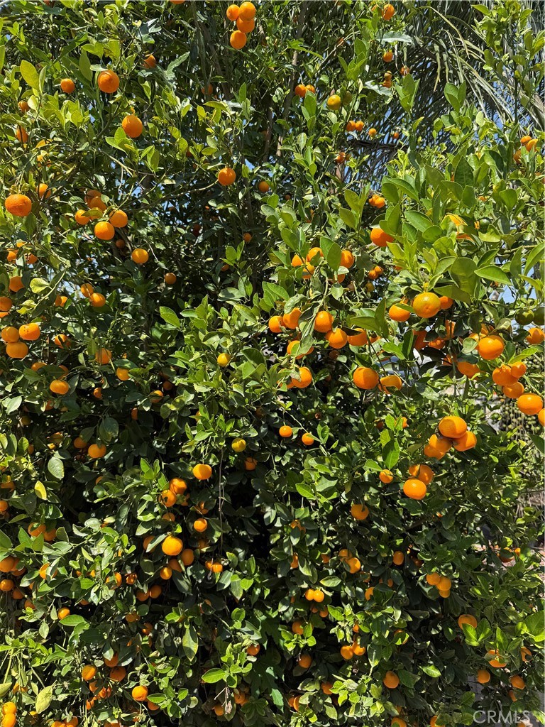 https://media.crmls.org/medias/a5811a59-bd6b-4b9a-8ceb-184e064a82b1.jpg?preset=X-Large