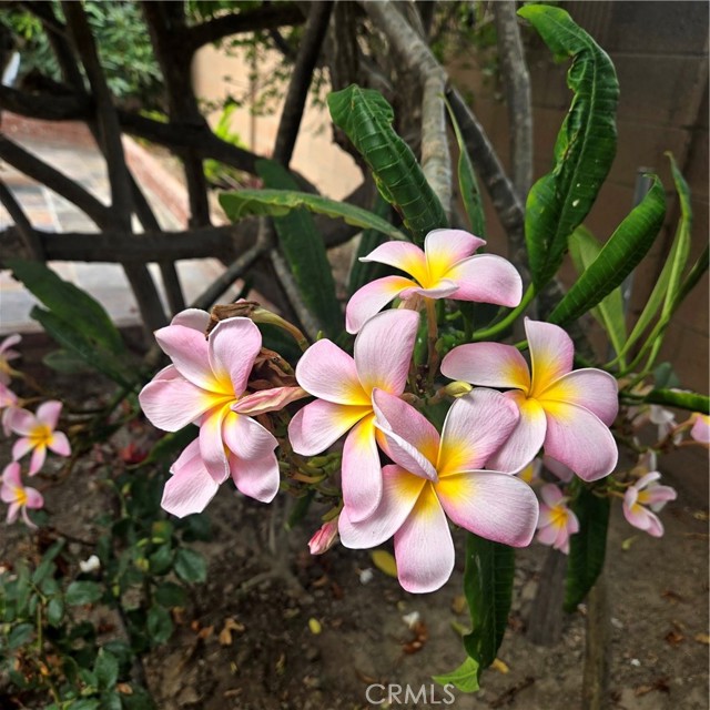 7231 Siena Avenue, Westminster CA: https://media.crmls.org/medias/a581e3a5-71f8-4214-b442-914c36b9b46b.jpg