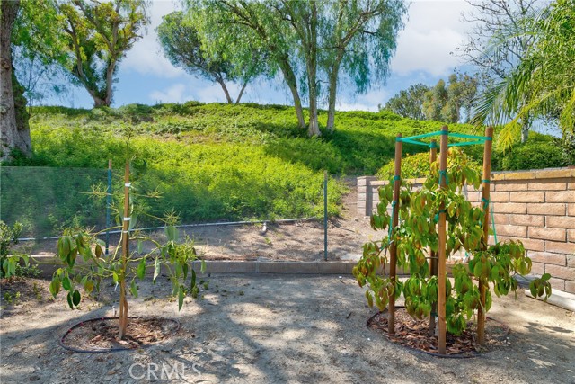 Detail Gallery Image 18 of 69 For 5387 via Ramon Rd, Yorba Linda,  CA 92887 - 3 Beds | 2 Baths