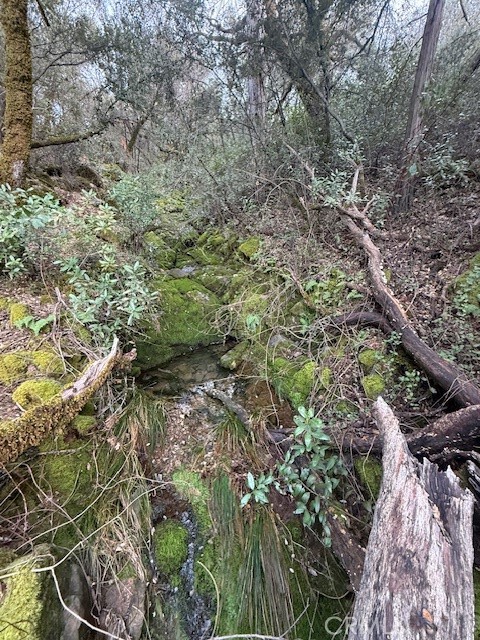 Detail Gallery Image 8 of 20 For 0 Rex Lane, Oroville,  CA 95966 - – Beds | – Baths