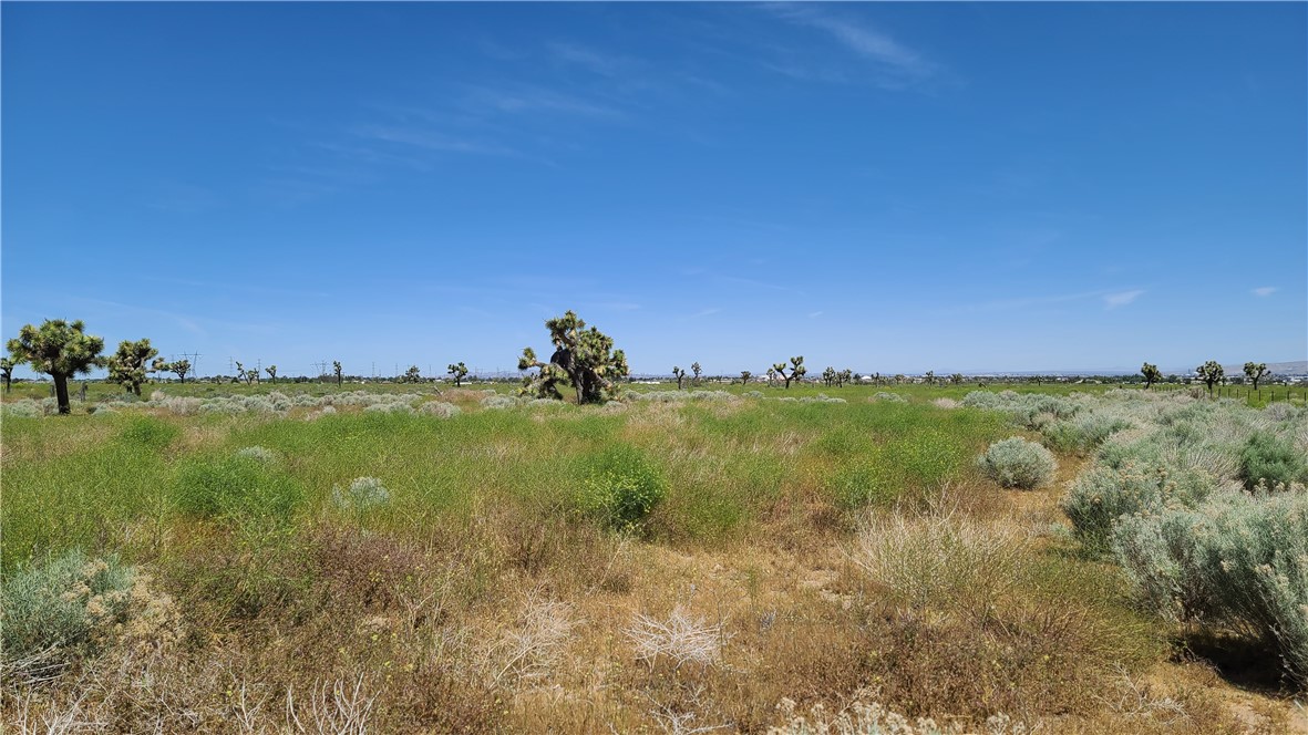 Detail Gallery Image 9 of 15 For 0 Vacant Land, Hesperia,  CA 92345 - – Beds | – Baths