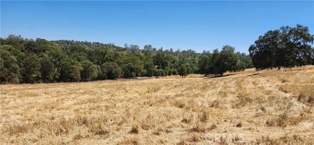 Detail Gallery Image 42 of 44 For 109 Summit Ave, Oroville,  CA 95966 - 2 Beds | 2 Baths