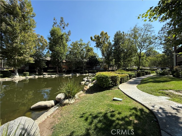 Detail Gallery Image 2 of 18 For 20702 El Toro Rd #243,  Lake Forest,  CA 92630 - 1 Beds | 1 Baths