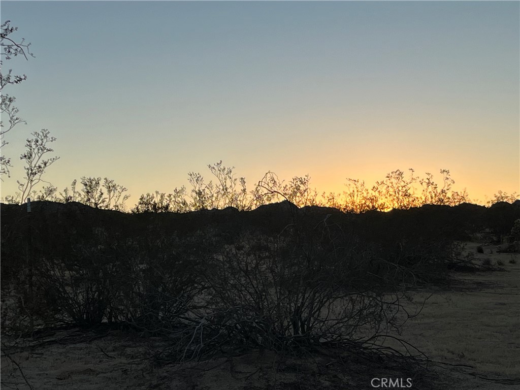 MLS #JT25250463 image #19