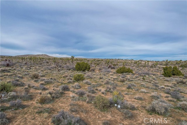 Detail Gallery Image 22 of 32 For 4824 Elata Ave, Yucca Valley,  CA 92284 - – Beds | – Baths