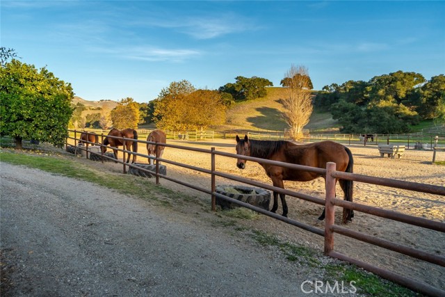 Detail Gallery Image 68 of 71 For 1535 Wild Rye, Arroyo Grande,  CA 93420 - 3 Beds | 4/1 Baths