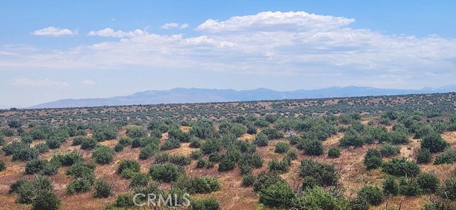 0 Sonora, Phelan, California 92371, ,Land,For Sale,0 Sonora,CRIV23149772